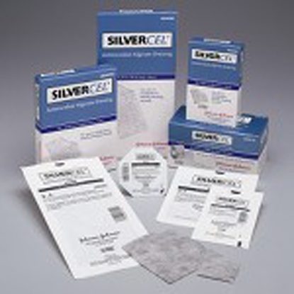 Dressing, Sterile, 2" x 2", Silvercel®, 10/Box