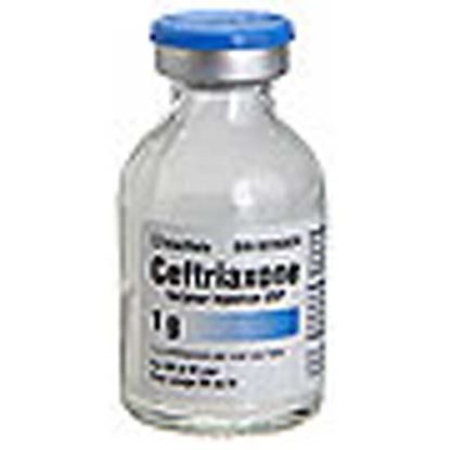 Ceftriaxone Sodium, 2gram/Vial, SDV Vial  25 Vials/Tray