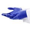 Gloves Exam Nitrile Powderfree Large Blue Ultraform  300Box