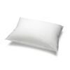Pillow Reusable 19 x 25 White Each